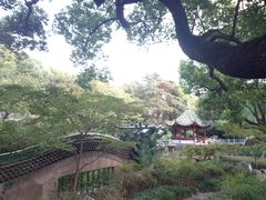 -申粤轩酒楼·三十年粤菜经典(丁香花园店)