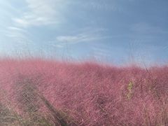 -天隆酒店·本地海鲜鲁菜(烟台大学店)