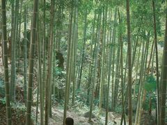 -山沟沟景区