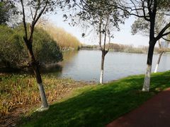 -艾溪湖湿地公园