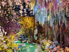 -正佳雨林生态植物园