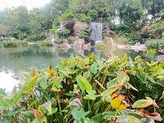 -靖西鹅泉风景区