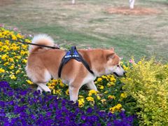 -钟山体育运动公园