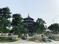 -中国唐苑
