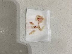 -希望动物医院(汉阳院)