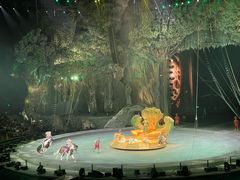 -广州长隆国际大马戏