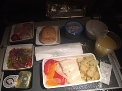 -新加坡航空公司(ION)