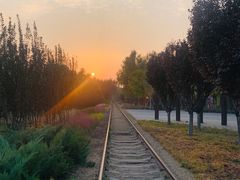 -永定河休闲森林公园