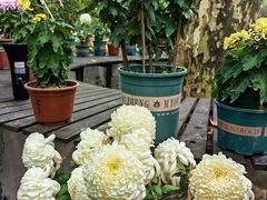 -共青国家森林公园-售票处