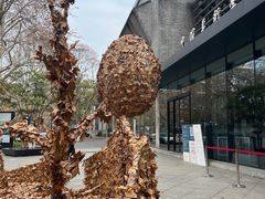 -中国美术学院-美术馆