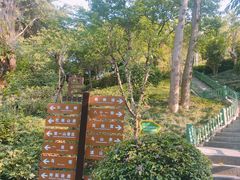 -乌山风景区