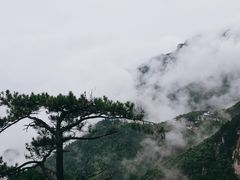 -萍乡武功山风景名胜区