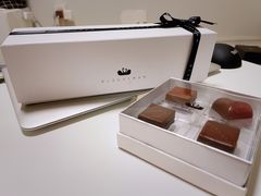 -BLACKSWAN黑天鹅(环球店)