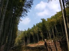 -山沟沟景区