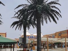 -上海玛雅海滩水公园