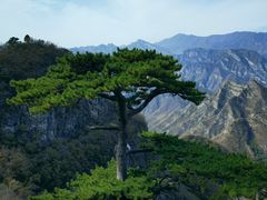-圣莲山风景区