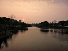-新江湾城公园