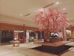 -大江户·温泉洗浴(浑南店)