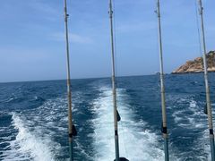 -小猫钓鱼海钓俱乐部(椰梦长廊店)