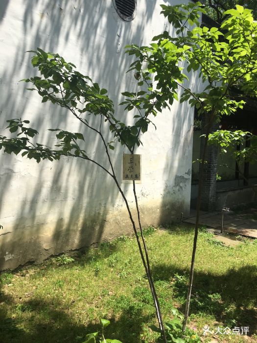 图片-同里周边游-大众点评网