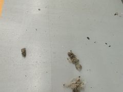 -博睿通达汽车修理站