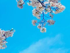 -西北湖绿化广场