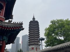 -西海子公园