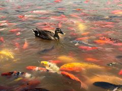 -泰安地下龙宫景区