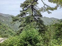 -秦岭终南山世界地质公园翠华山景区