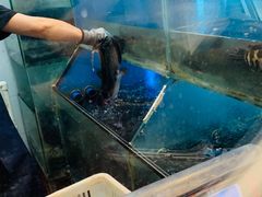 -鱼酷活鱼烤鱼(沈阳大悦城店)