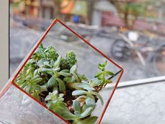 -蝶舍·MAISON PAPILLON