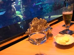 -迪拜帆船酒店海底餐厅