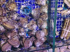 -青蓬蒸汽海鲜·深圳老字号·团建聚会(壹方城店)