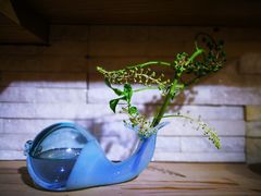 店内环境-今日陶艺(富力广场店)
