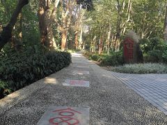 -广西壮族自治区药用植物园
