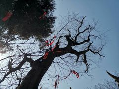 -金堂县云顶石城风景区