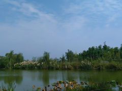 -白鹭湾湿地公园