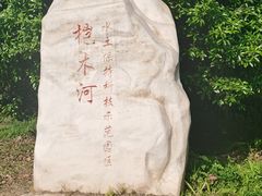 -桤木河湿地公园