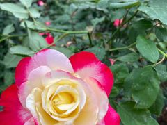 -人民公园(罗湖区)