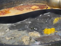 -生活如沸·顺德水牛奶火锅(大学路店)