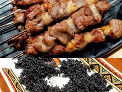 只撒盐的羊肉串-蒙料·手把肉(望京店)