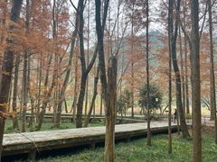 -五泄景区