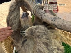 -杭州野生动物世界