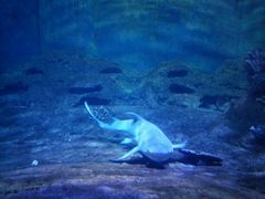 -厦门海底世界