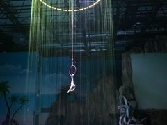 -华夏文旅西安度假区