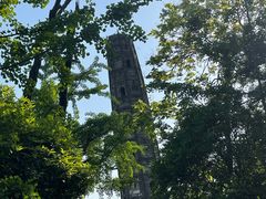 -上海佘山国家森林公园天马山园