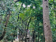 -黔灵山公园