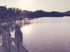 -天下玉苑