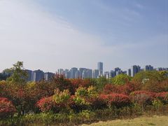 -牛岗山公园