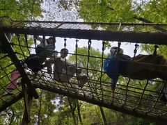 -石燕湖生态旅游景区